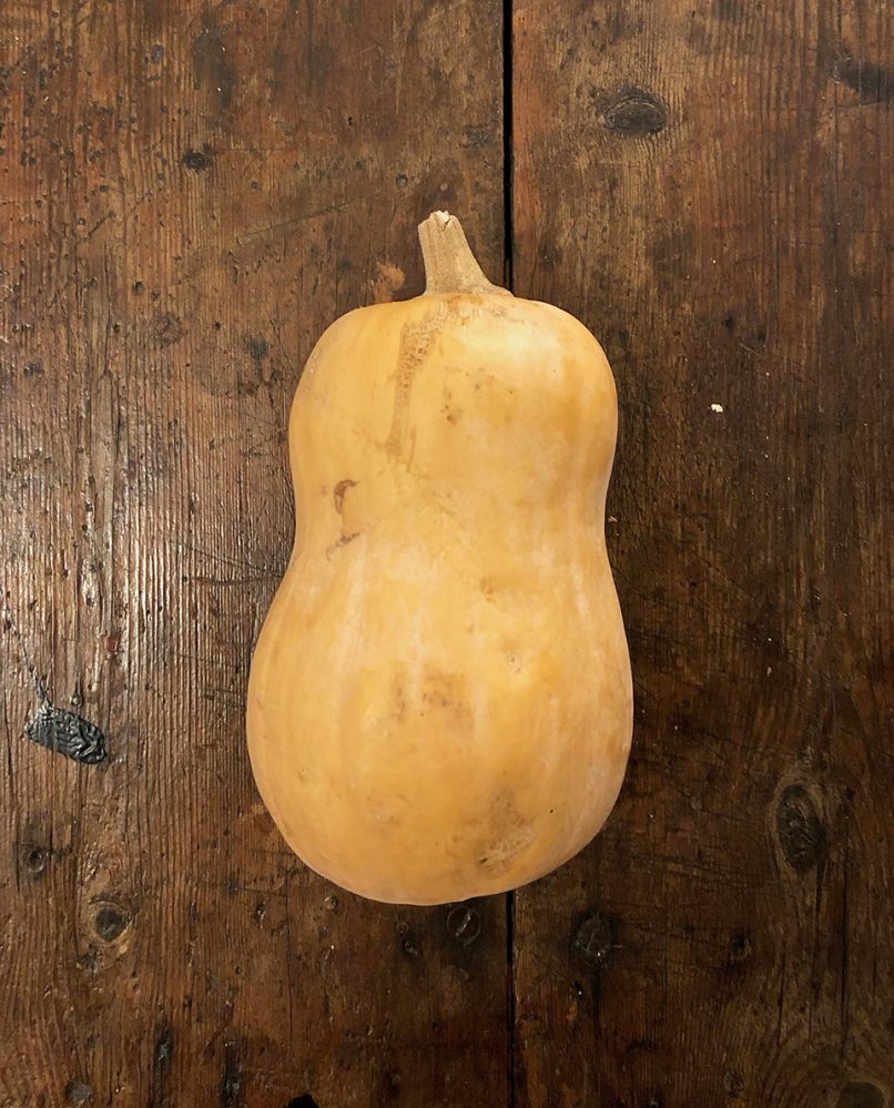 Pumpkin, Butternut. The Organic Store McLaren Vale
